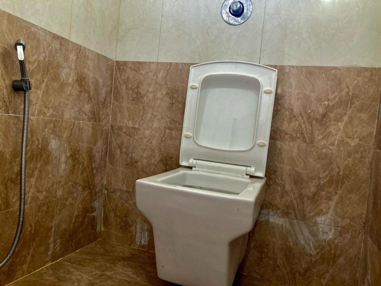מלון אליבג Seanest מראה חיצוני תמונה